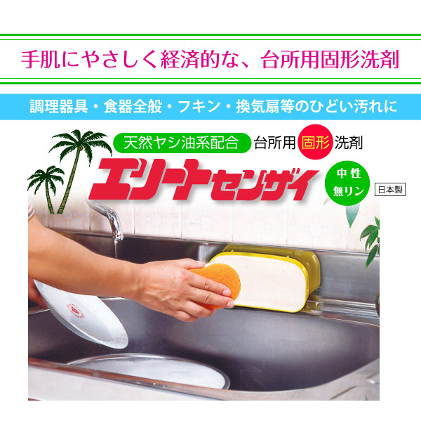 日本最大級 3個組 固形タイプ食器洗い洗剤 エリート洗剤 580gx 3個 天然ヤシ油系配合 無リン 環境 経済的 手荒れ エコ 固形洗剤 日本製  送料無料