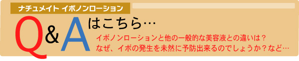 別ウインドウで開きます